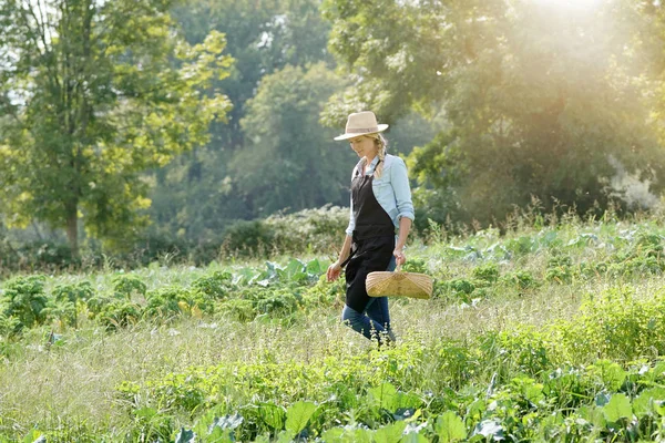 Farmer Woman Walking Agricultural Field — Stock Photo, Image