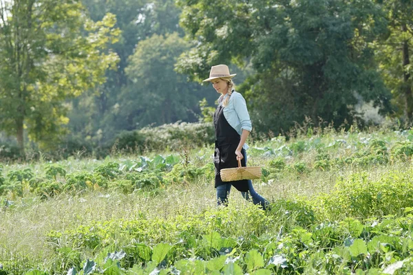 Farmer Woman Walking Agricultural Field — Stock Photo, Image