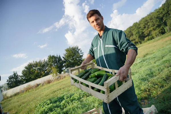 Farmer Agricultural Field Holding Crate Zucchinis — Stock Photo, Image