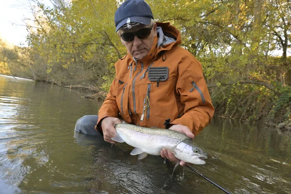 Capture Une Truite Arc Ciel Par Pêcheur Mouche Automne — Photo