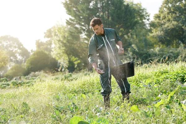 Agricultor Siembra Semillas Campo —  Fotos de Stock