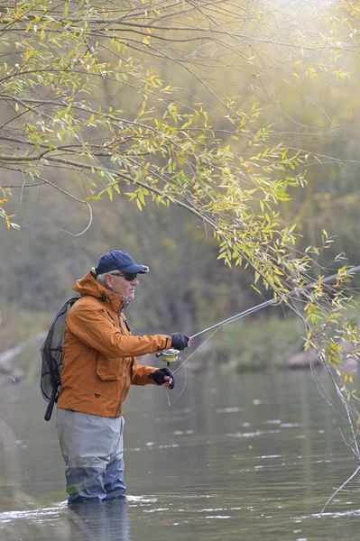 Fly Fisherman River Autumn — стоковое фото