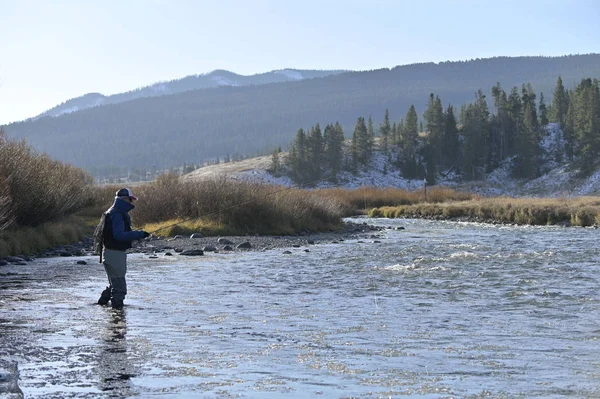 Fliegenfischer Einem Fluss Montana Herbst — Stockfoto