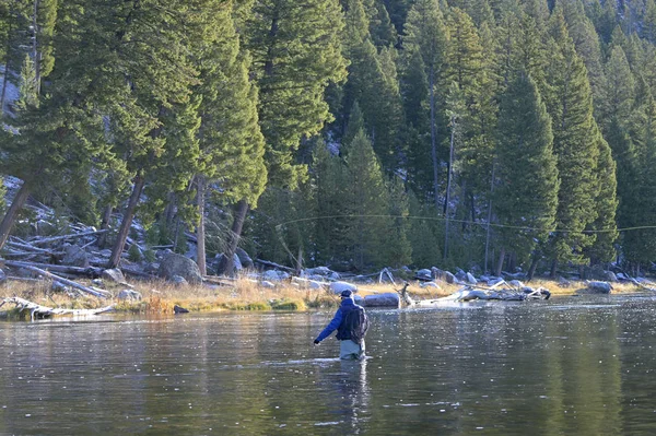 Pêcheur Mouche Dans Montana — Photo