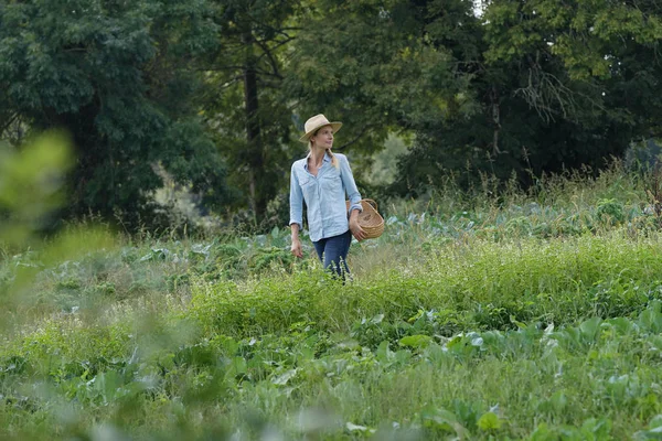 Tarım Alanında Yürüyen Çiftçi Kadın — Stok fotoğraf