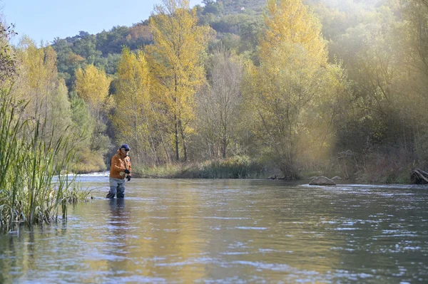 Mouche Pêcheur Dans Rivière Automne — Photo