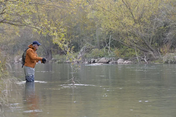 Mouche Pêcheur Dans Rivière Automne — Photo