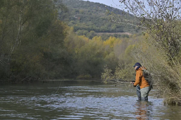 Mouche Pêcheur Dans Rivière Automne — Photo