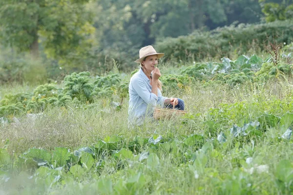 Farmer Woman Organic Field Smelling Aromatic Plants — Stock Photo, Image