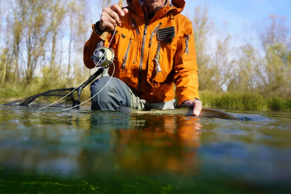 Captura Uma Truta Arco Íris Por Pescador Mosca Outono — Fotografia de Stock