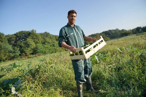 Agricoltore Campo Agricolo Azienda Cassa Zucchine — Foto Stock