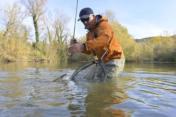 Capture Une Truite Par Pêcheur Mouche Automne — Photo