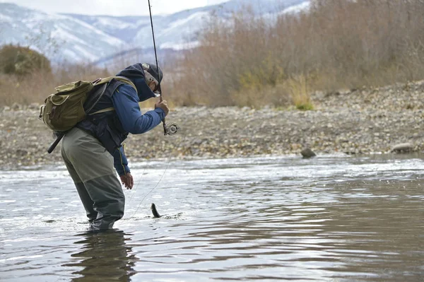 Montana Daki Nehir Sineği Balıkçıları — Stok fotoğraf