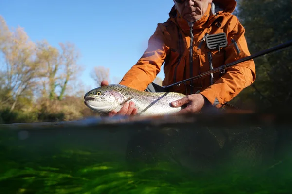 Captura Una Trucha Arco Iris Por Pescador Mosca Otoño — Foto de Stock