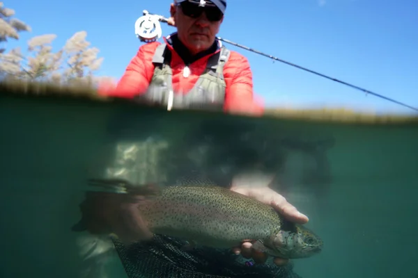 Tomando Gran Arco Iris Mosca — Foto de Stock