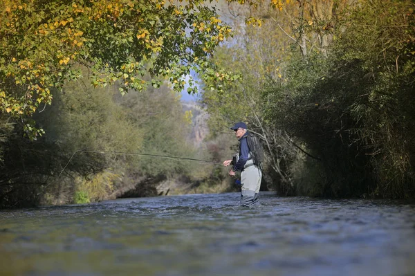 Latający Rybak Jesienią Szybką Rzeką — Zdjęcie stockowe