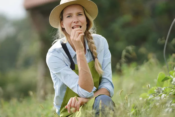 Portrait Farmer Woman Strawberry Field — ストック写真