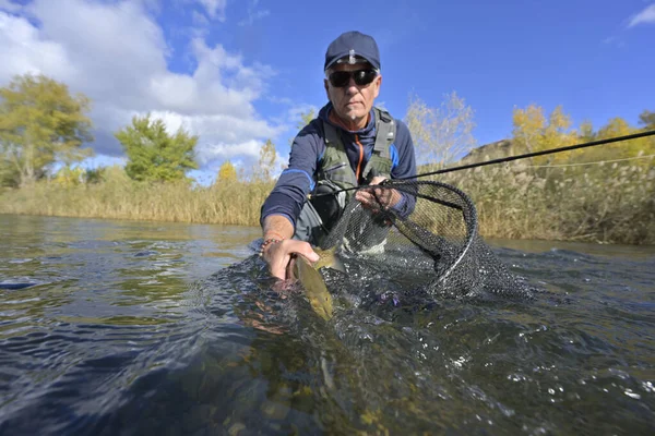 Nemen Van Een Grote Bruine Forel Vlieg — Stockfoto