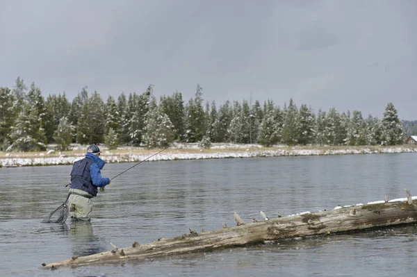 Pescador Moscas Montana — Foto de Stock