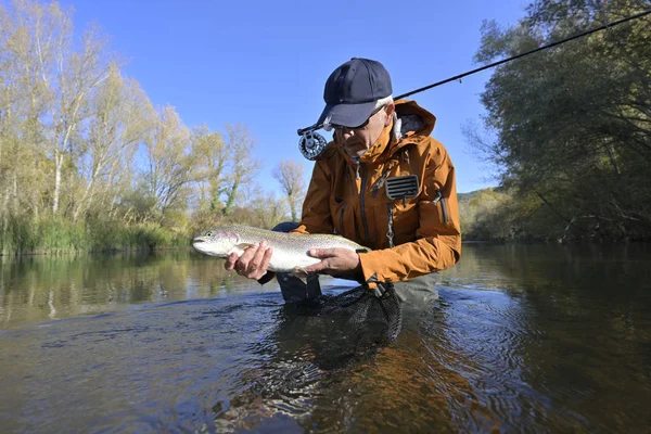 Capture Une Truite Arc Ciel Par Pêcheur Mouche Automne — Photo