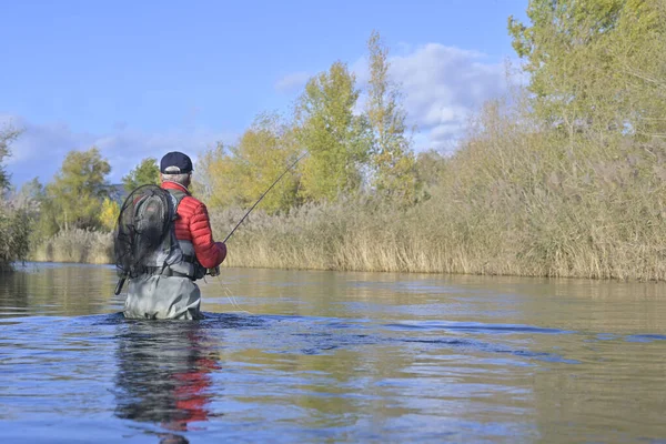 Voler Pêcheur Automne Rivière Rapide — Photo