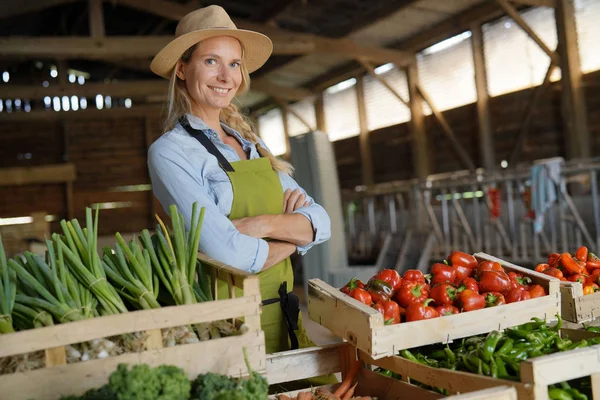 Χαρούμενη Αγρότισσα Που Πουλάει Προϊόντα Απευθείας Από Αγρόκτημα — Φωτογραφία Αρχείου