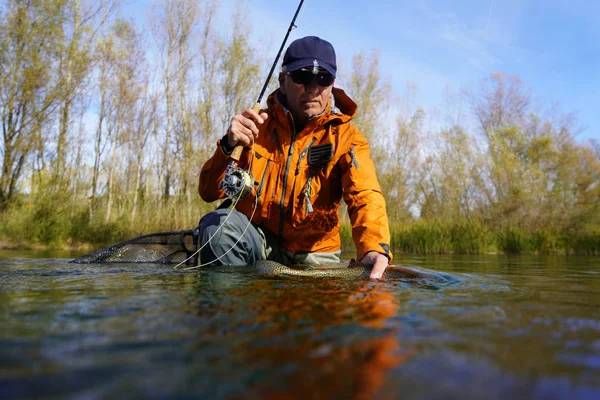 Captura Una Trucha Por Pescador Mosca Otoño — Foto de Stock