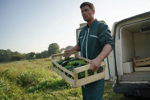 Bauer Lädt Kiste Mit Zucchinis Lkw — Stockfoto