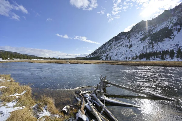 Der Madison River Yellowstone Park lizenzfreie Stockbilder