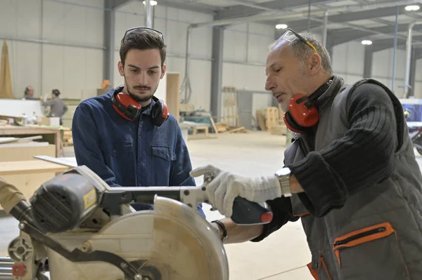 Tischler Mit Lehrling Werkstatt — Stockfoto