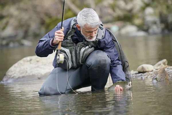 Cattura Una Trota Iridea Parte Pescatore Mosca Nel Fiume — Foto Stock