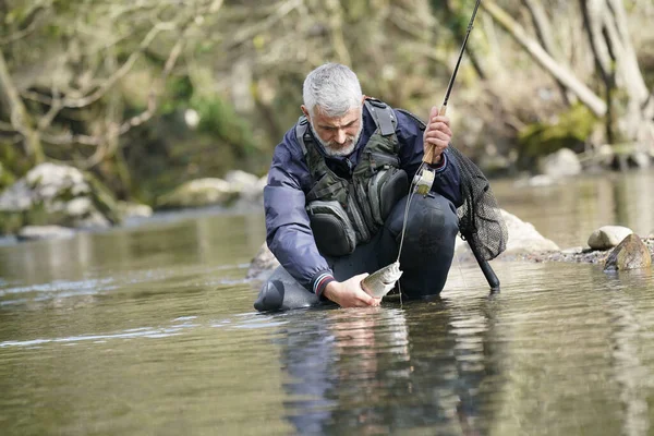 Cattura Una Trota Iridea Parte Pescatore Mosca Nel Fiume — Foto Stock