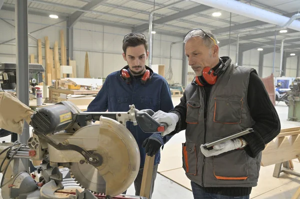 Tischler Mit Lehrling Werkstatt — Stockfoto