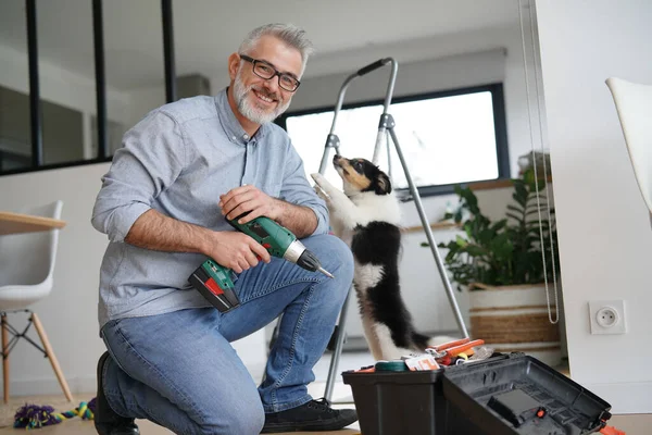 Man Thuis Doet Doe Het Zelf Werk Met Puppy Buurt — Stockfoto