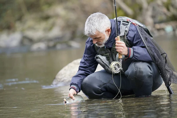 Captura Uma Truta Arco Íris Por Pescador Mosca Rio — Fotografia de Stock