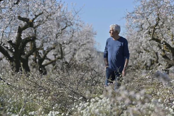 Agricoltore Campo Mele — Foto Stock