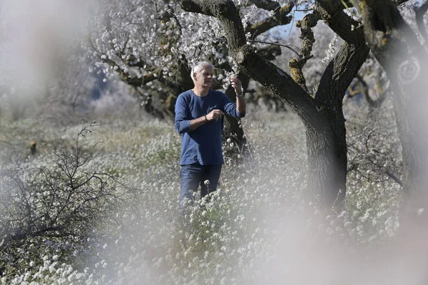 Αγρότης Χωράφι Μήλα — Φωτογραφία Αρχείου