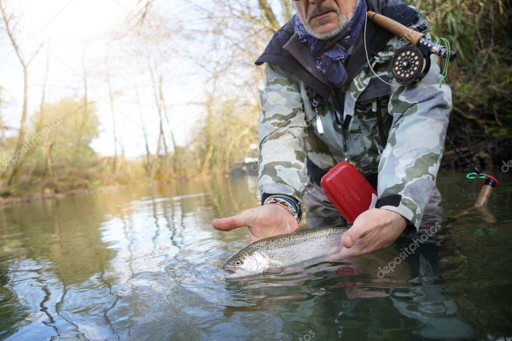 catch of a rainbow trout by a fly fisherman in the river