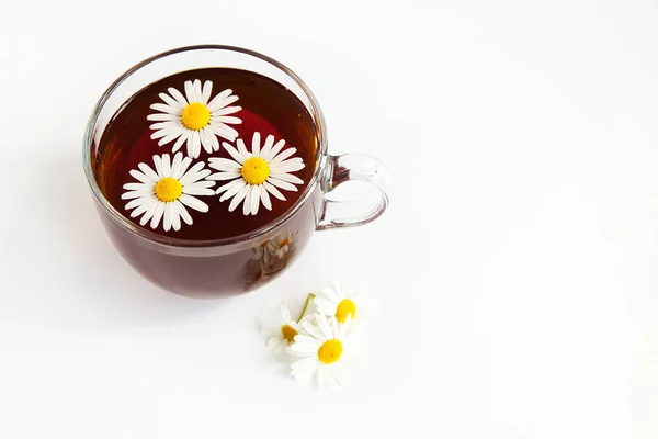 Csésze tea három Kamilla virágot is — Stock Fotó