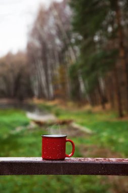 Sabah orman içinde ahşap köprüde bir içkiyle kırmızı Kupası