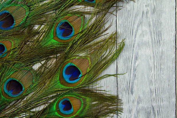 Una pluma de pavo real sobre fondo gris madera — Foto de Stock