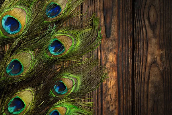 Plumas de pavo real decoran un tablero marrón de madera verticalmente oscura — Foto de Stock