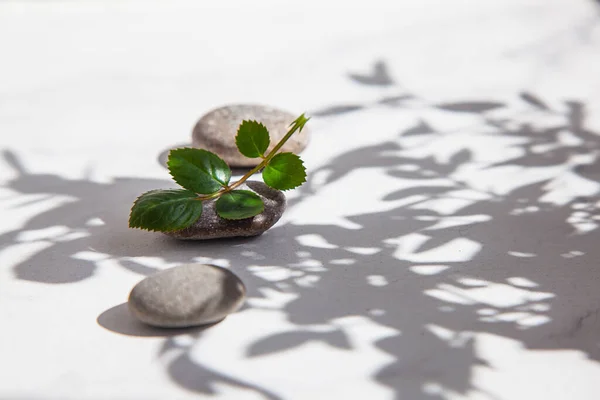 Stenen Geïsoleerd Witte Achtergrond — Stockfoto