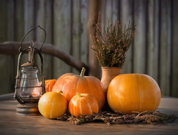 Autumn Pumpkins, The Thanksgiving day Background, Halloween — Stock Photo, Image
