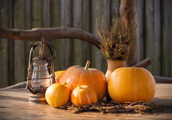 Осенние тыквы, День Благодарения, Хэллоуин — стоковое фото