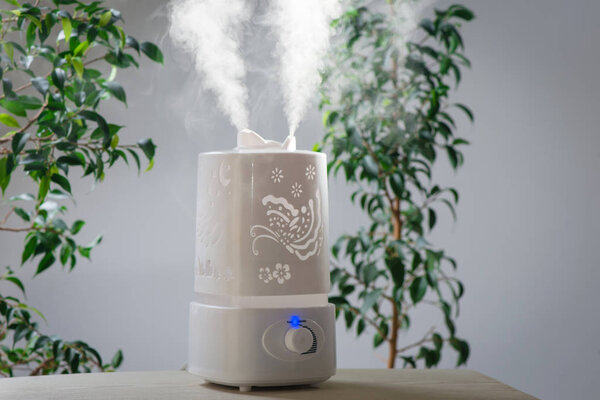 ultrasonic humidifier in the house. Humidification. Vapor