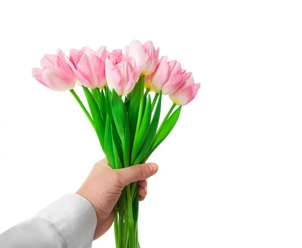 Mooie roze tulpen bloemen bij de mens teruggeven geïsoleerd op wit — Stockfoto