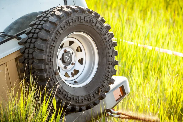 Stepne orta gülümseme simgesiyle.