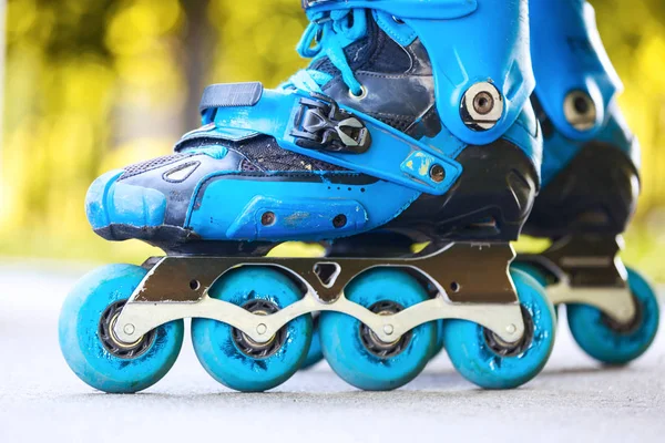 Closeup de patins em linha com rodas azuis . — Fotografia de Stock