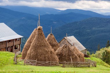 Grup Haystack Karpat Dağları tepelerde karşı. 